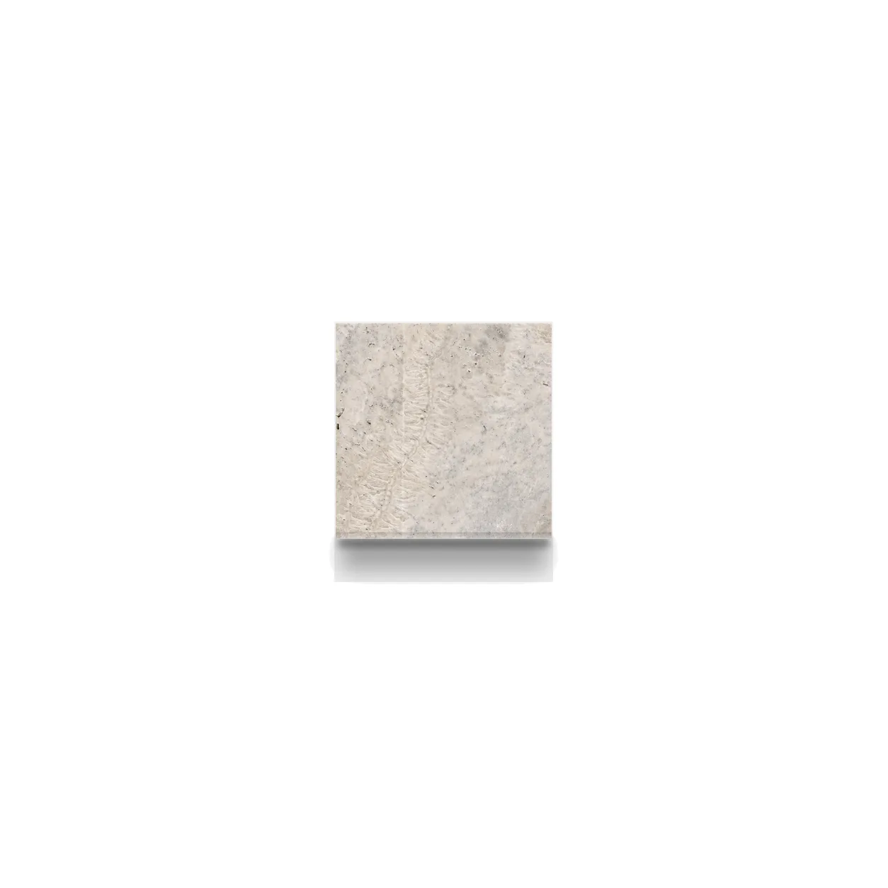 Cafe Premium Travertine Honed 4x4 1.2cm Modern Tumbled Tile