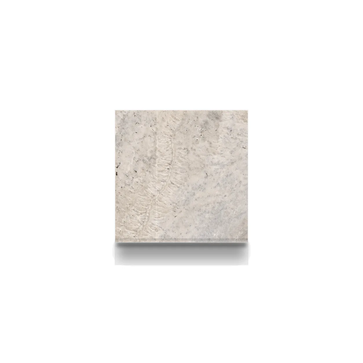 Cafe Premium Travertine Honed 6x6 1.2cm Modern Tumbled Tile